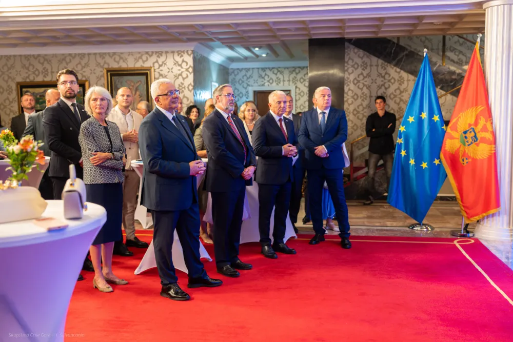 20 godina od prijema Crne Gore u članstvo Ujedinjenih nacija