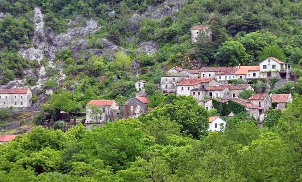 село годиње