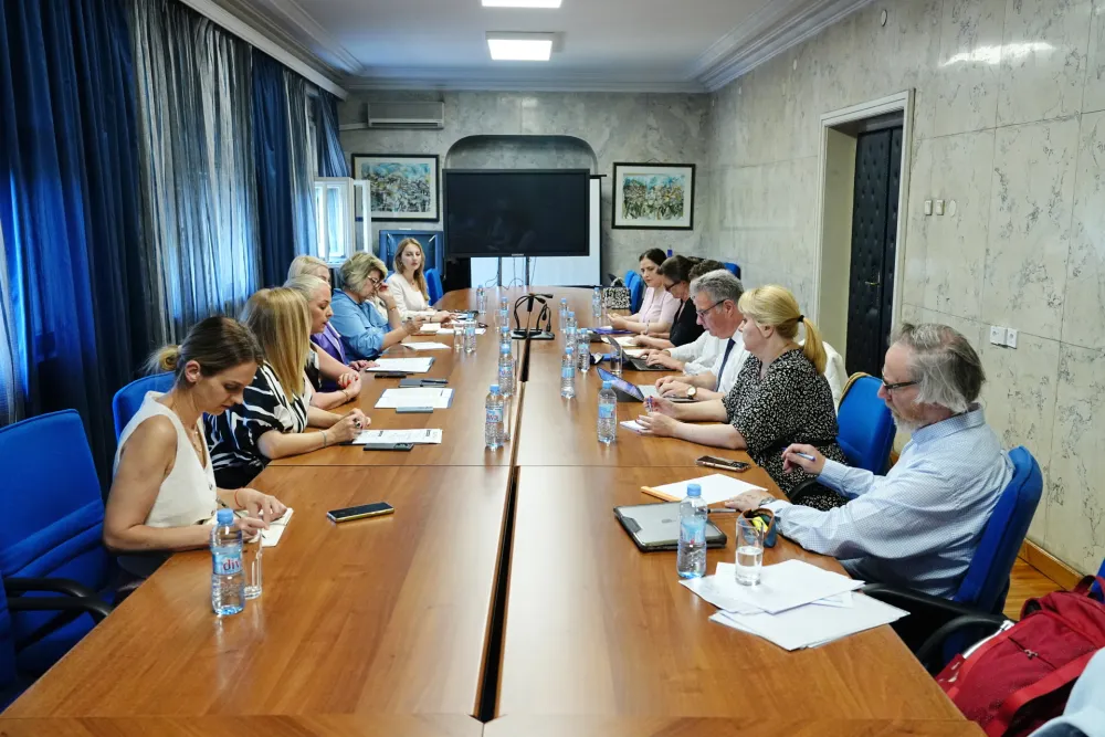 Stani&scaron;ić se sastala sa predstavnicima Konferencije međunarodnih nevladinih organizacija Savjeta Evrope