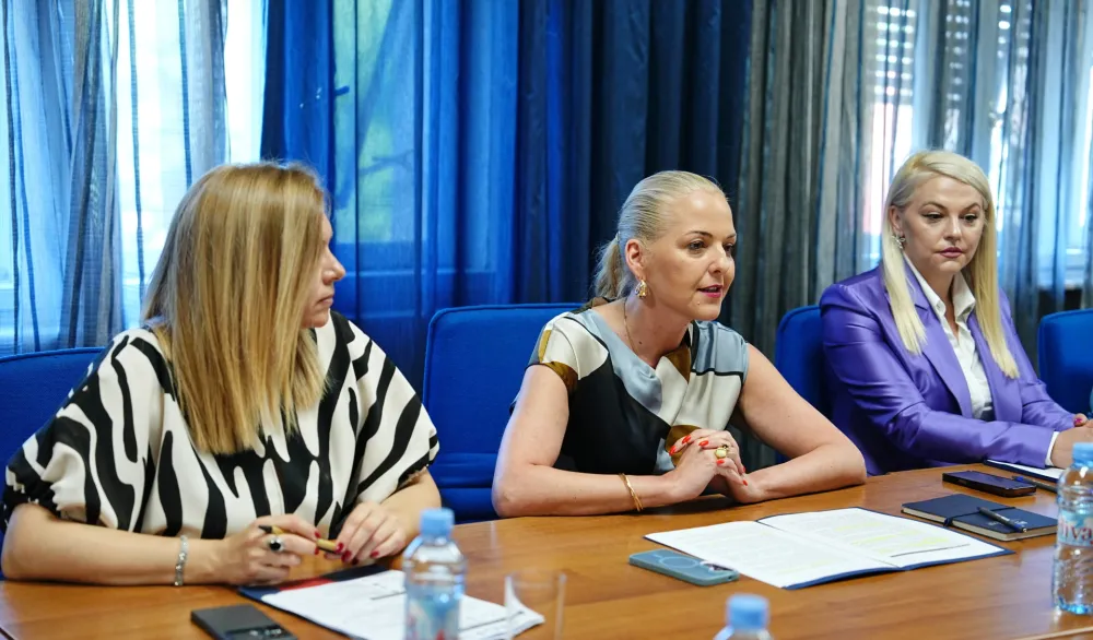 Stani&scaron;ić se sastala sa predstavnicima Konferencije međunarodnih nevladinih organizacija Savjeta Evrope