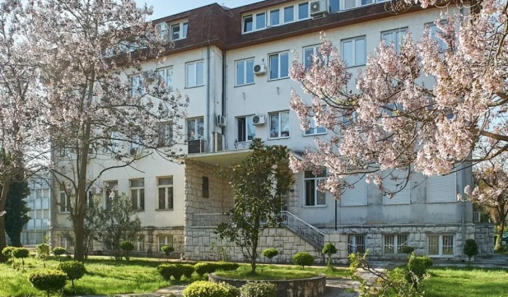 O direktoru Istorijskog instituta odlučuje i rođak?