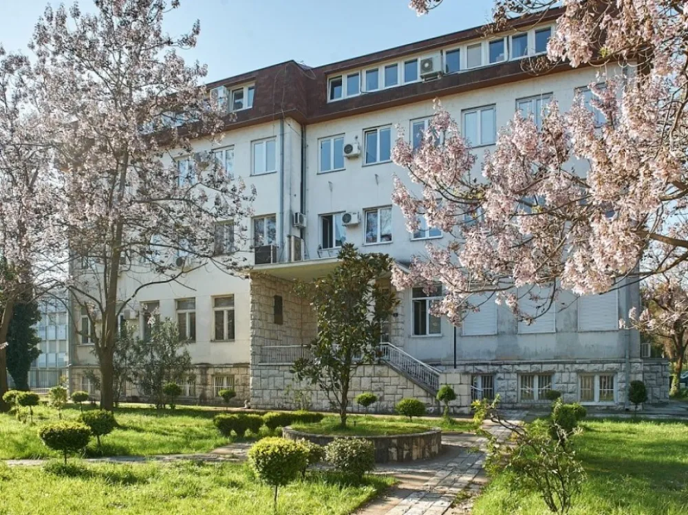 O direktoru Istorijskog instituta odlučuje i rođak?