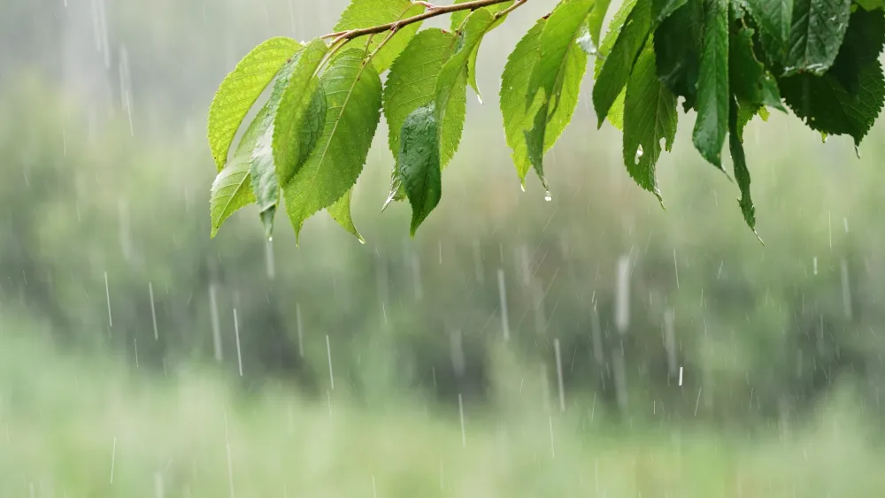 Sjutra promjenljivo, od sredine dana ponegdje ki&scaron;a i pljuskovi