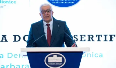 Mandić: Prvo glasanje o izmjenama Ustava u ponedjeljak