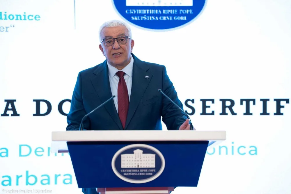 Mandić: Prvo glasanje o izmjenama Ustava u ponedjeljak