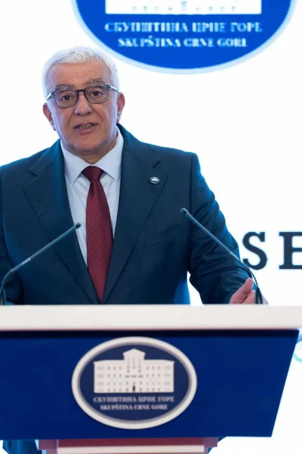 Mandić: Prvo glasanje o izmjenama Ustava u ponedjeljak