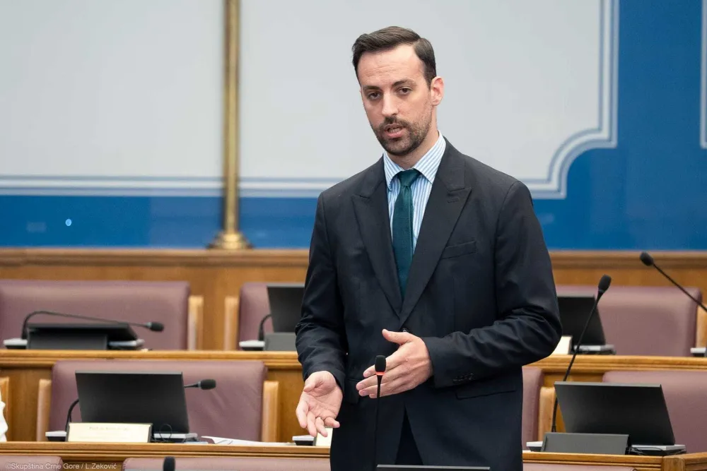 Zirojević podnio krivičnu prijavu protiv Krapovića: SDT da ispita da li su otkrivani tajni podaci