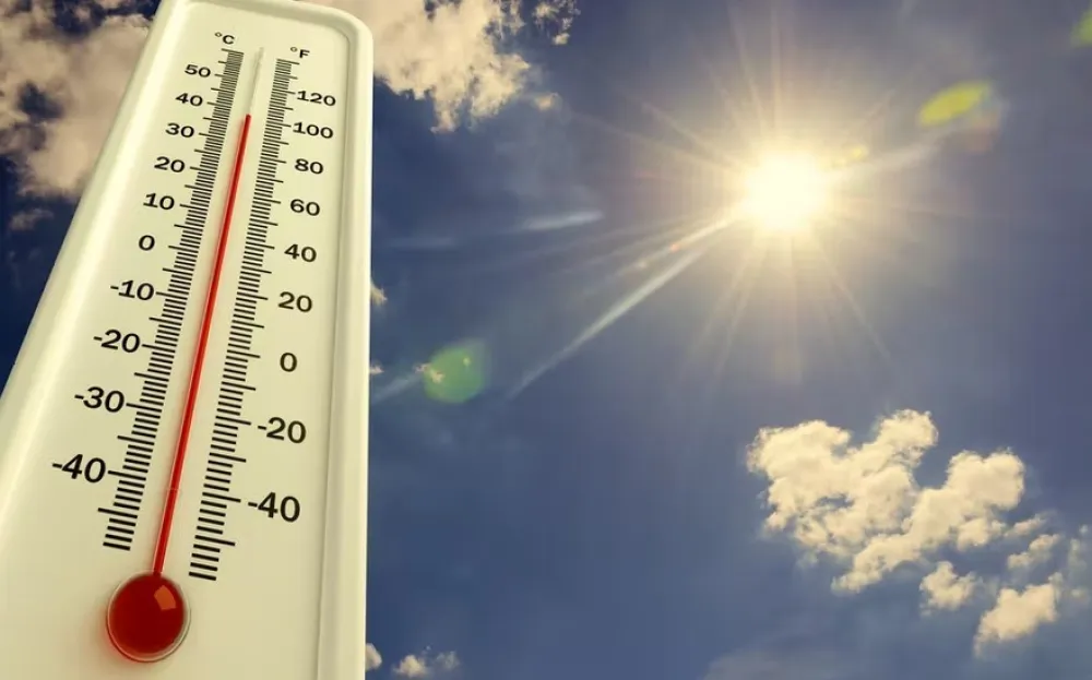 Zbog izuzetno visokih temperatura u Holandiji preminulo 480 ljudi