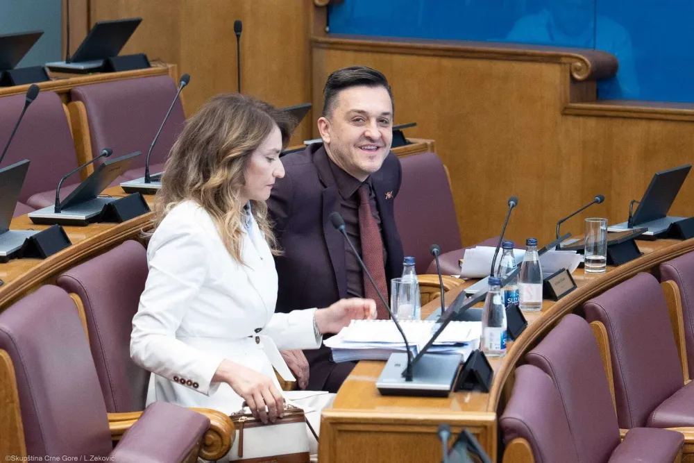 Vlada bira ko će kontrolisati tendere