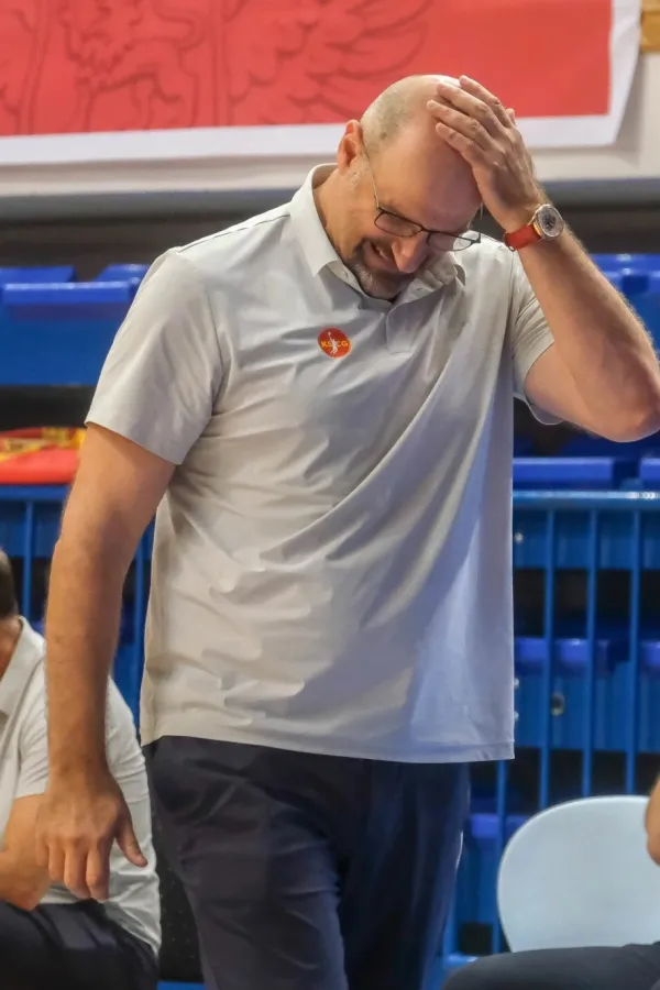 Zvezdan Mitrović