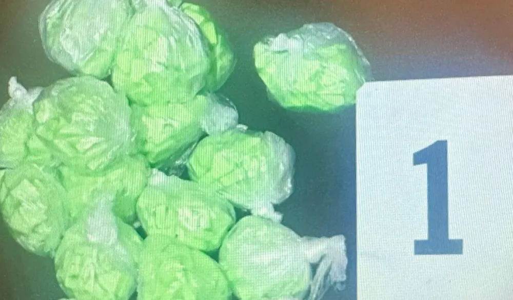 U Ulcinju uhap&scaron;ena 23 lica, zaplijenjena droga i pojačane kontrole