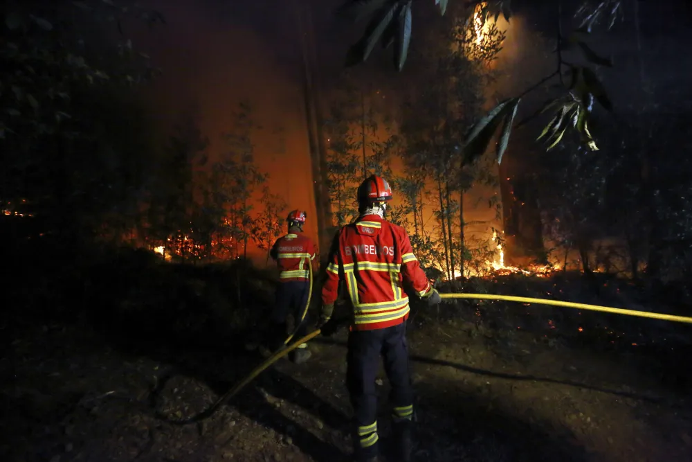 Požari na jugu Francuske: Preko deset hiljada ljudi evakuisano