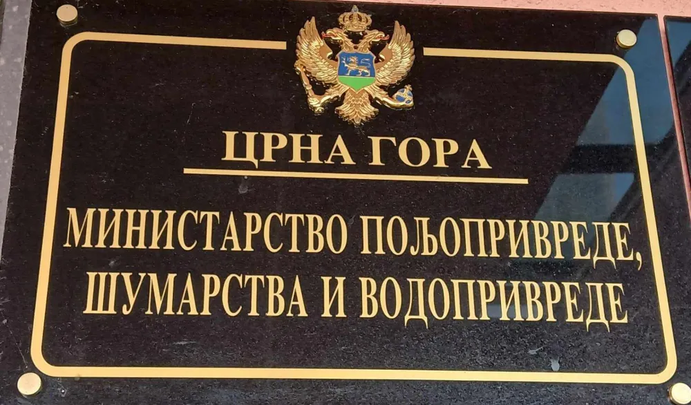 MP&Scaron;V dodjeljuje sredstva podsticaja aktivnostima u sektoru ribarstva