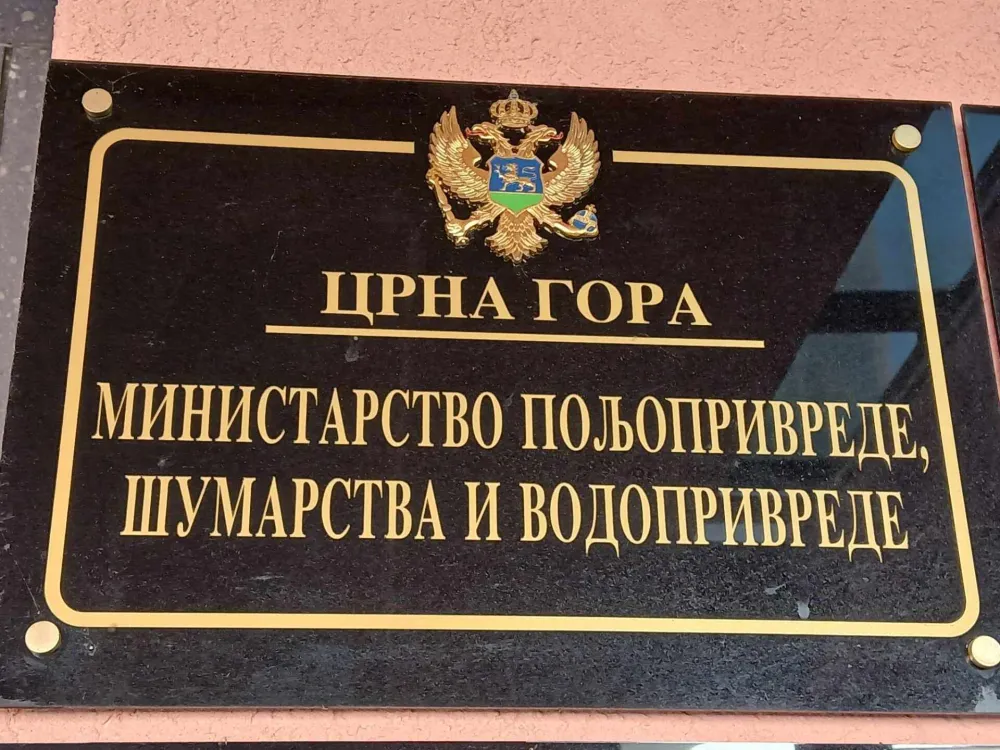 MP&Scaron;V dodjeljuje sredstva podsticaja aktivnostima u sektoru ribarstva