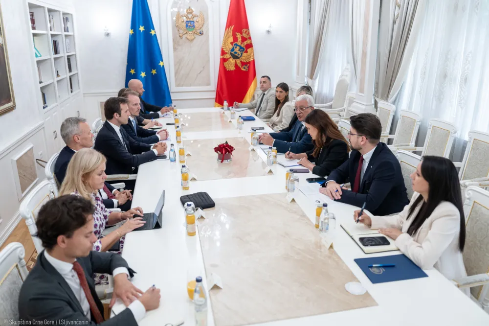 Mandić: Na&scaron; cilj je da svaki ostvareni korak ka EU bude rezultat ozbiljnih reformi
