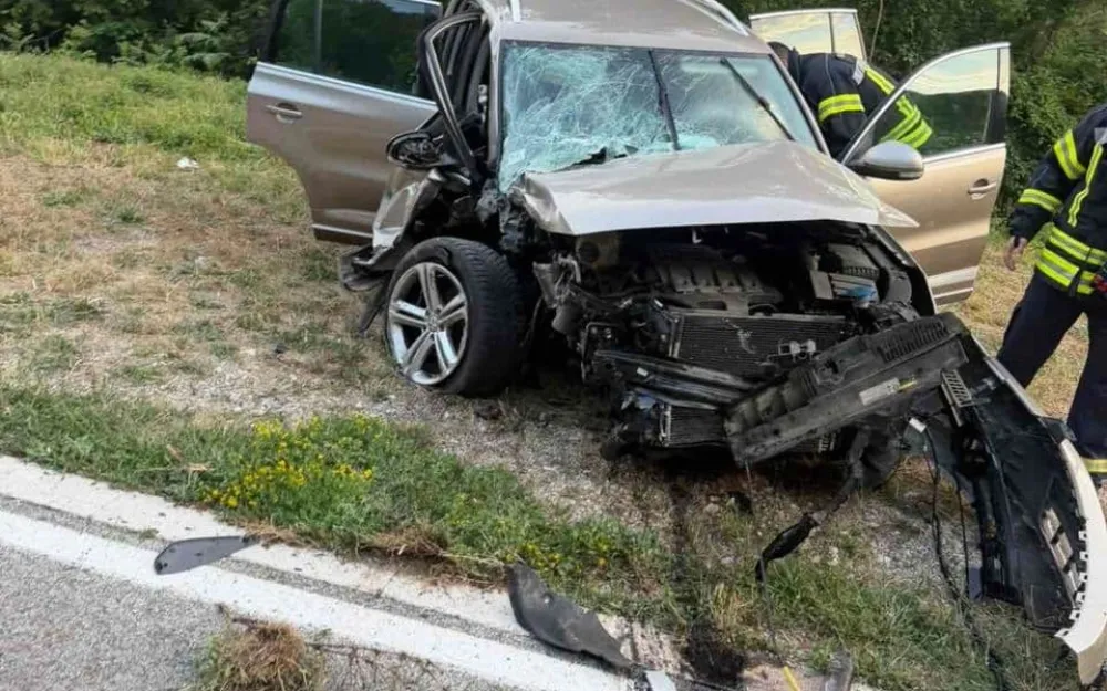 Udes na Brajićima
