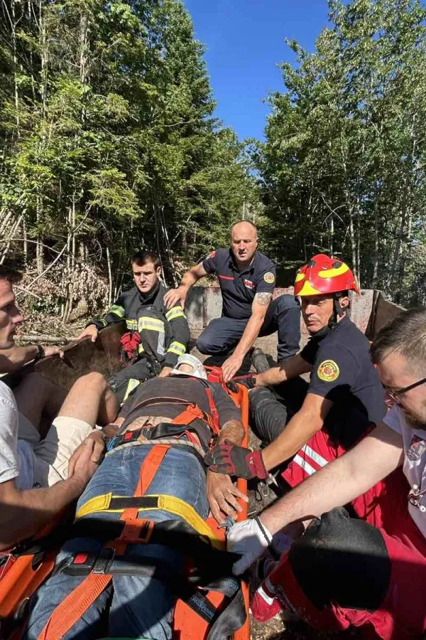 Spasioci izvukli mu&scaron;karca na kojeg je u &scaron;umi palo drvo