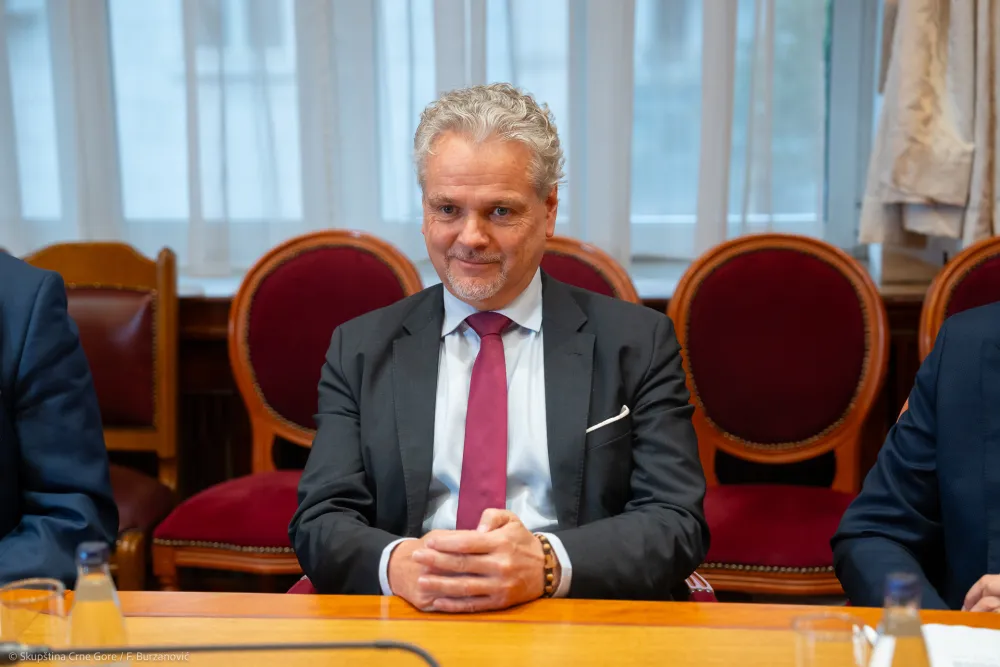 Satler: Bez odlaganja zavr&scaron;iti proces izmjena Ustava