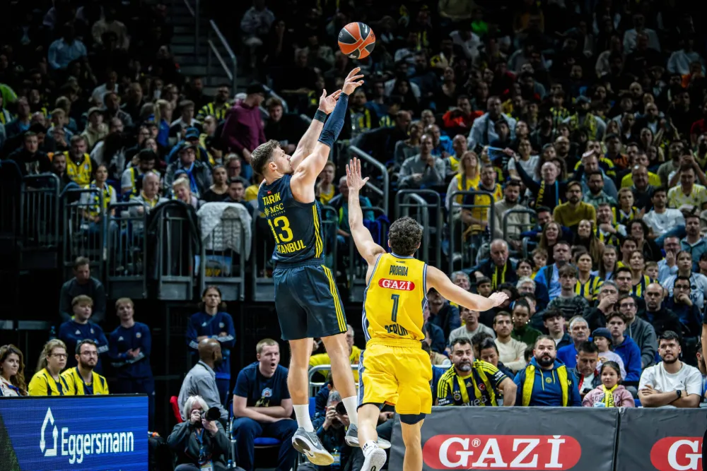 Tarik Biberović