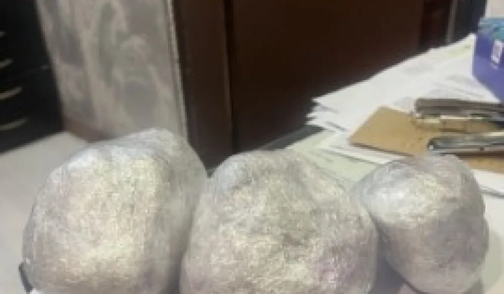 proinađena marihuana