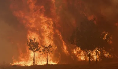 Najmanje 12 ljudi poginulo u &scaron;umskom požaru na jugu &Scaron;panije