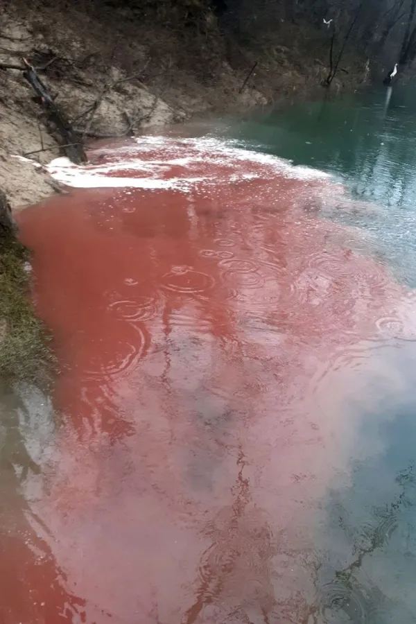 Nevladine organizacije traže hitnu reakciju države: Zaustaviti zagađenje rijeke Zete i primijeniti zakone