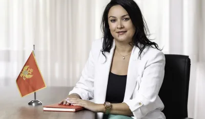 MEP: Zatvaramo Poglavlje 29, korak bliže punoj integraciji u evropski carinski prostor