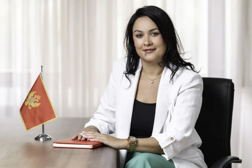 MEP: Zatvaramo Poglavlje 29, korak bliže punoj integraciji u evropski carinski prostor