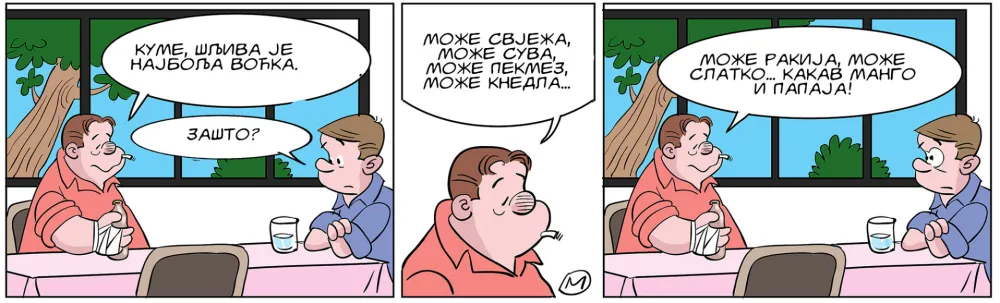 Strip Dana - Autor: Mirko Zulić