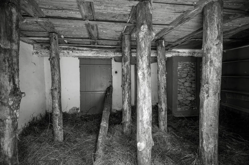 Soba 101555 &times; 300 &times; 210 cm drveni stubovi, sijeno, kamen, drveni ormar, drvene police