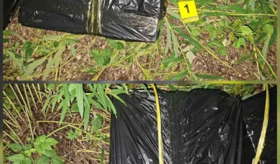 (FOTO) Granična policija spriječila krijumčarenje cigareta: Uhap&scaron;en crnogorski državljanin