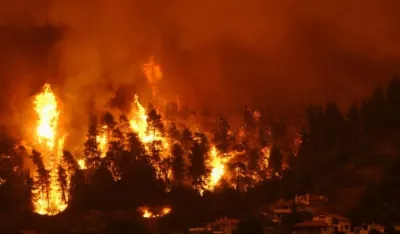 Francuska: U šumskim požarima izgorelo 17.000 hektara zemljišta