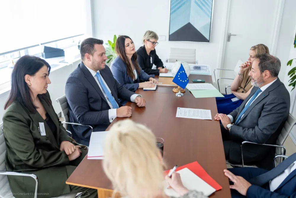 Stani&scaron;ić: Evropski parlament spreman za uključivanje poslanika iz Skup&scaron;tine Crne Gore
