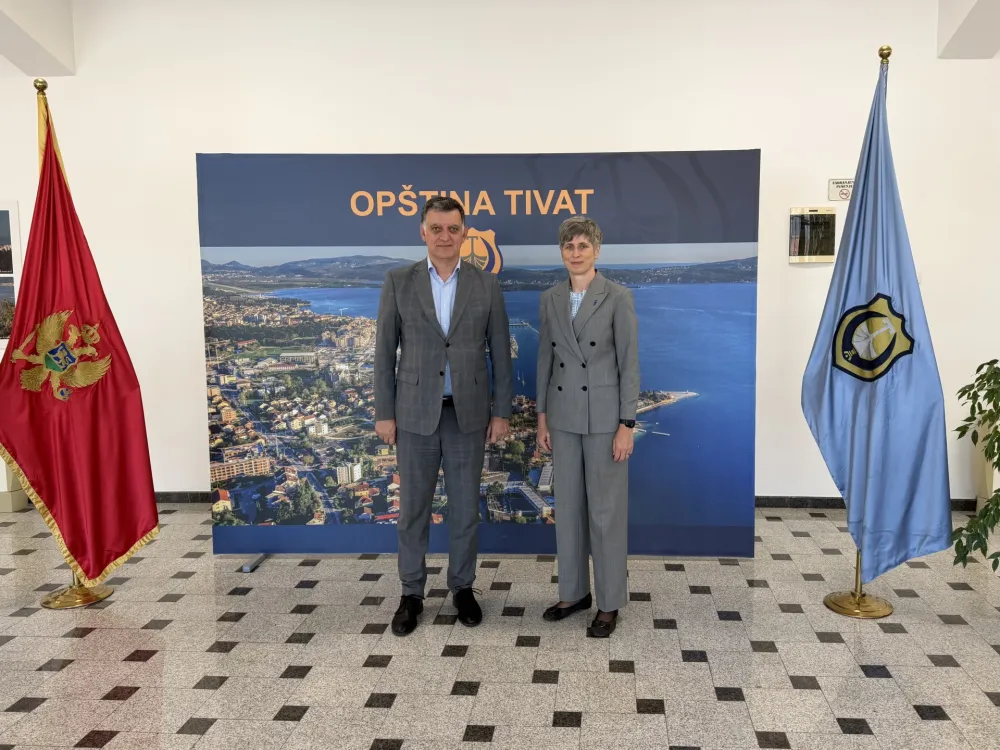 Komnenović: Tivat jedini ispunjava uslove za sticanje statusa grada