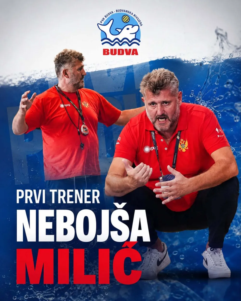 Невојша Милић