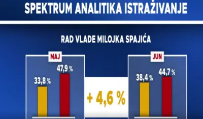 Speltrum analitika istraživanje