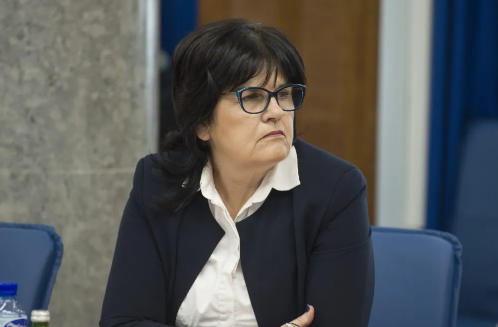 odbor za ekonomiju, anketni odbor mozura
