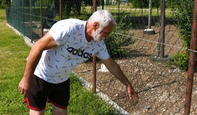 Lazar Popović