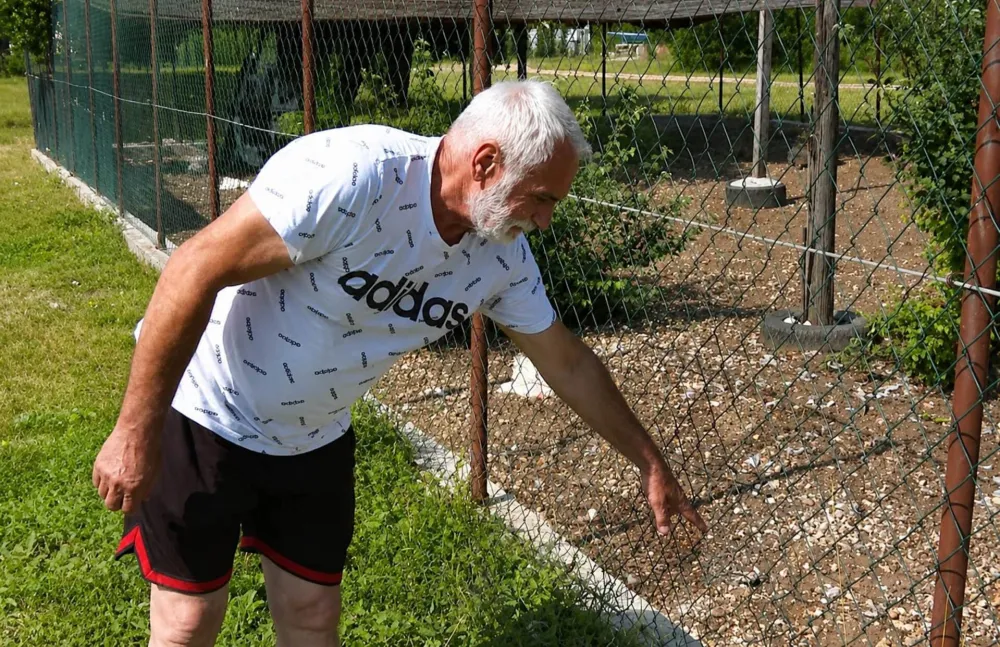 Lazar Popović