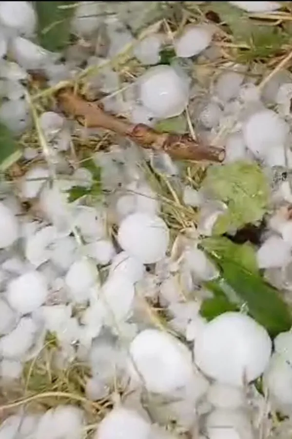 (VIDEO) Nevrijeme za trenutak potopilo Velimlje, grad tukao kao orah