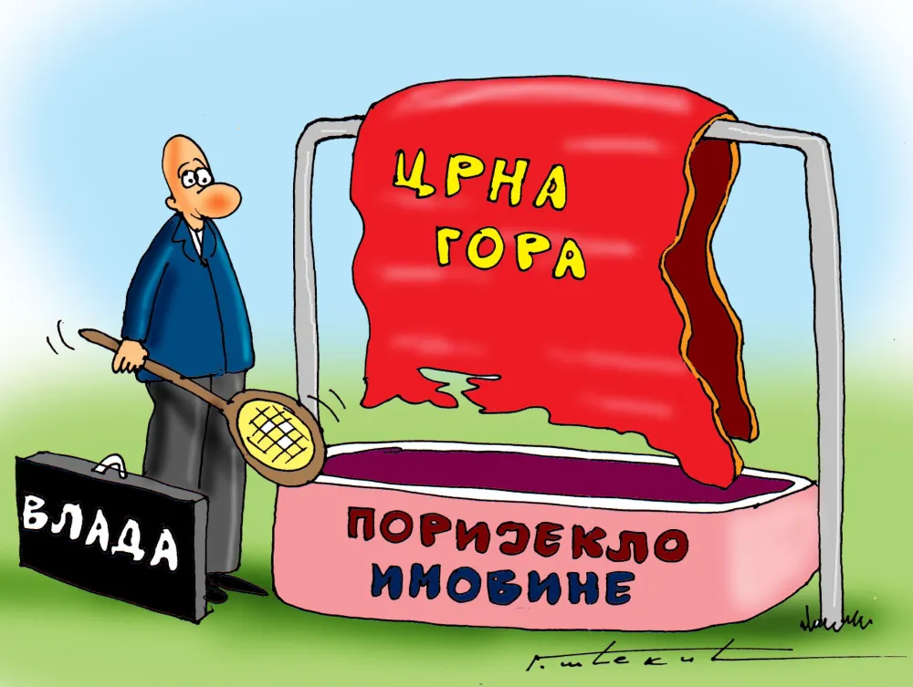 Karikatura Dana - Autor: Goran &Scaron;ćekić