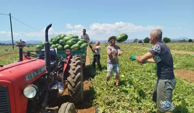 Počeo izvoz proizvoda iz Malesije: Lubenica napu&scaron;ta njive
