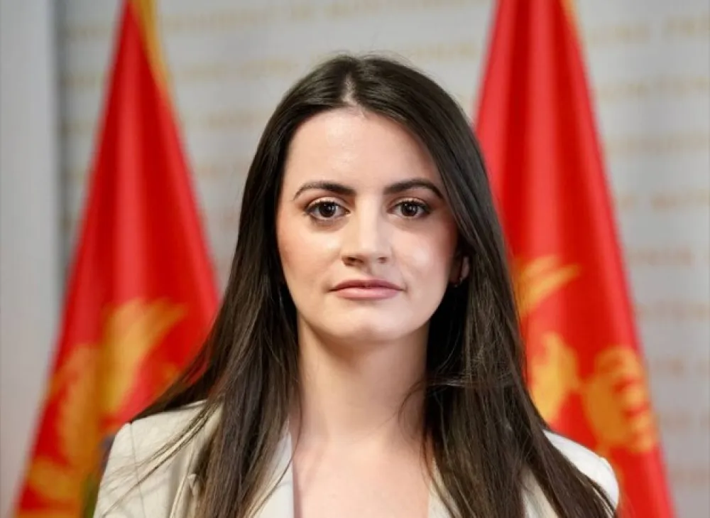 Vesković: Najavljene izmjene bezbjednosnih zakona prilika za unapređenje pojedinih rje&scaron;enja