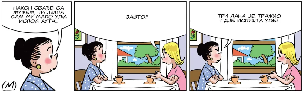 Strip Dana - Autor: Mirko Zulić