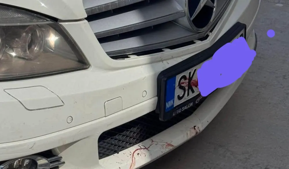 (UZNEMIRUJUĆI VIDEO) Užas u Ulcinju: Vozač automobilom skopskih tablica namjerno pregazio psa u naselju Đerane