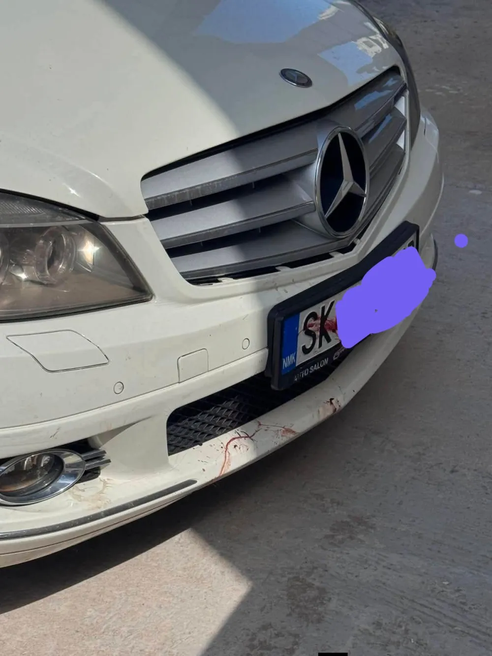 (UZNEMIRUJUĆI VIDEO) Užas u Ulcinju: Vozač automobilom skopskih tablica namjerno pregazio psa u naselju Đerane