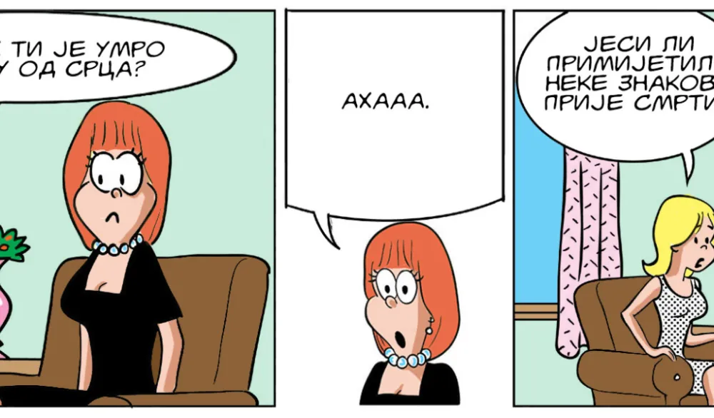 Strip Dana - Autor: Mirko Zulić