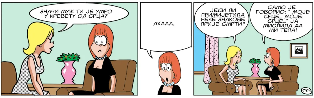 Strip Dana - Autor: Mirko Zulić
