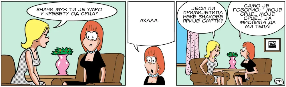Strip Dana - Autor: Mirko Zulić