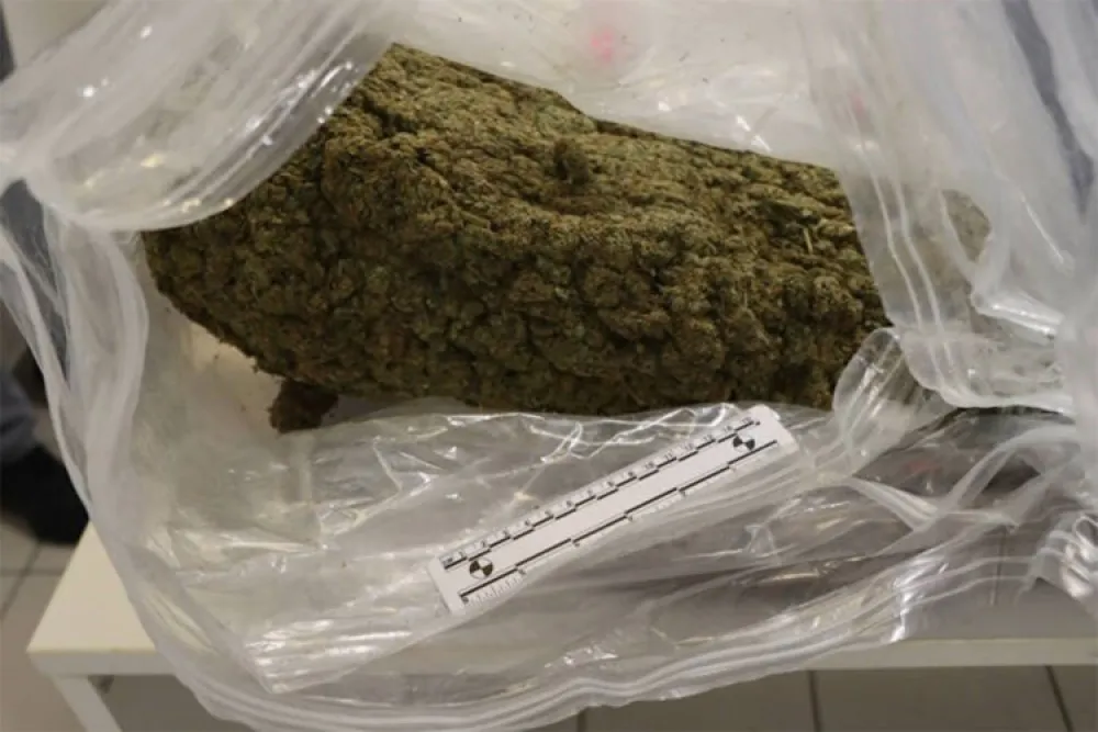Zaplijenjena droga